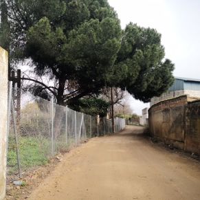 20210203 CUARTO PEDRERA 4