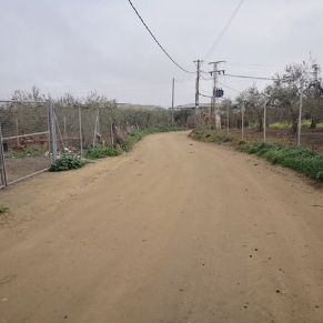 20210203 LA POCITA 1