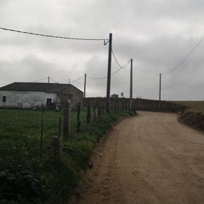 20210203 LA POCITA 3