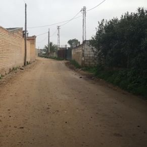 20210203 LA POCITA 4