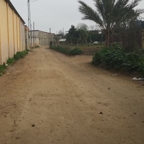 20210203 LA POCITA 5