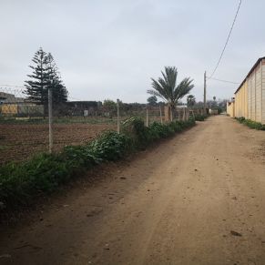 20210203 LA POCITA 6