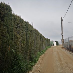 20210203 LOS RUBIALES 3