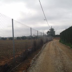 20210203 LOS RUBIALES 4