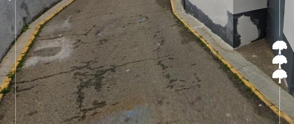 590698493_1301172505388647_4671830643114038779_n