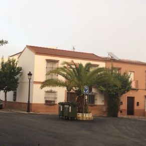 ASFALTADO - CRUCE CARRETERO 2