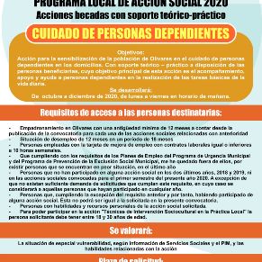 Acciones Becadas - Cuidado Personas Dependientes