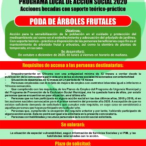 Acciones Becadas - Poda de Arboles Frutales