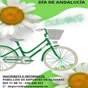 BICICLETA 2023-1
