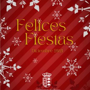 Boletín Diciembre_Página_1