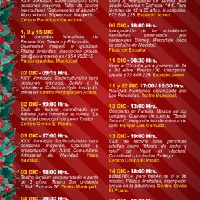 Boletín Diciembre_Página_4