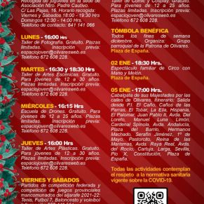 Boletín Diciembre_Página_6