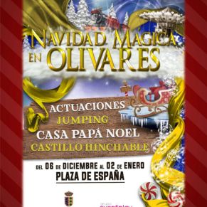 Boletín Diciembre_Página_7