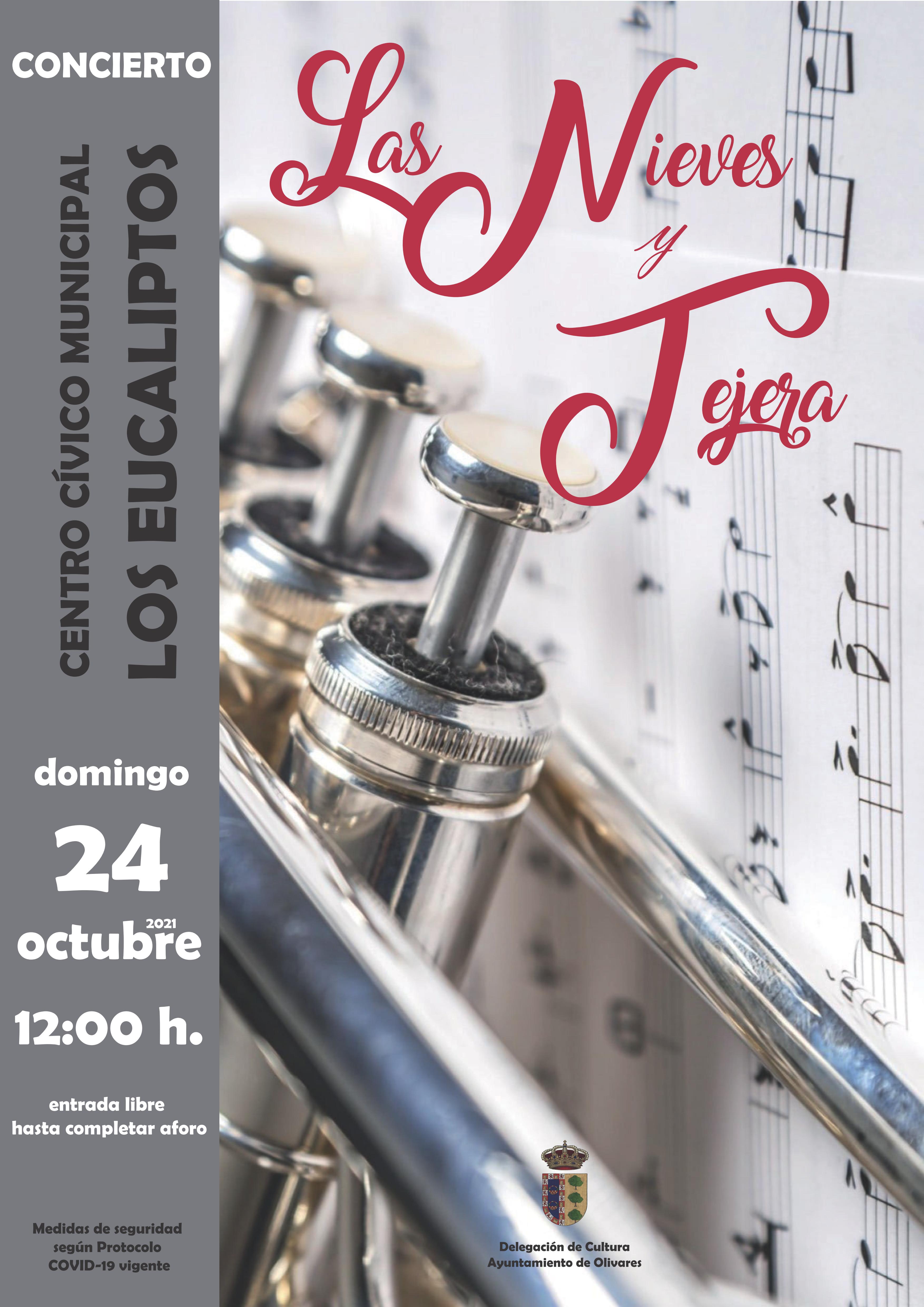 CARTEL CONC. LAS Y NIEVES Y TEJERA_01