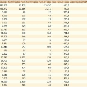 CASOS COVID 26-1-2021