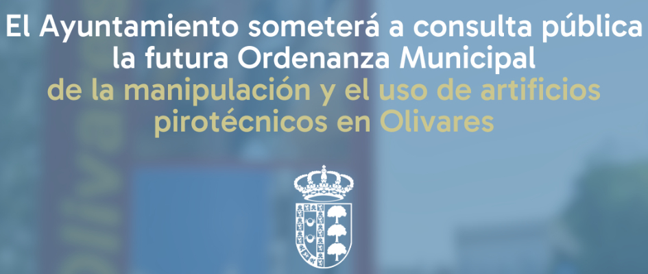 IMAGEN WEB ORDENANZA PIROTECNIA