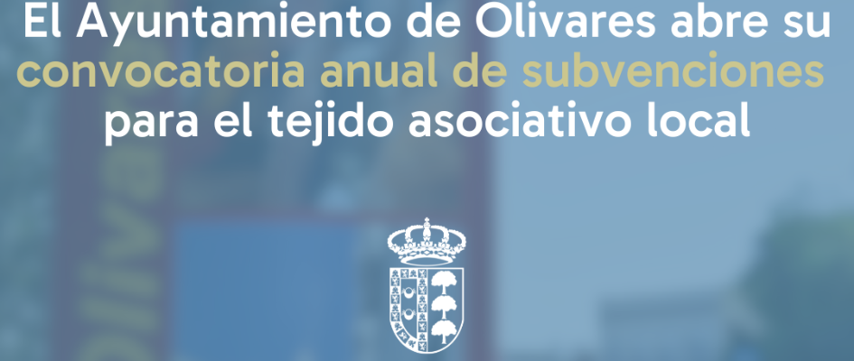 IMAGEN WEB SUBVENCIONES SIN ANIMO DE LUCRO