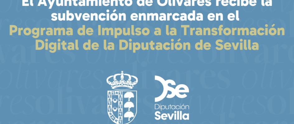 NOTA WEB SUBVENCION INFORMATICA