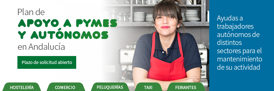 PLAN APOYO AUTONOMOS