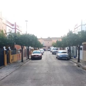 PODA ALTOS DEL ALJARAFE 2