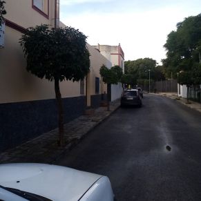 PODA CALLE PÉSULA 1