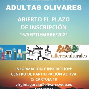 Programa de dinamización adultas cartel