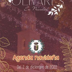 Revista Navidad 2022_Página_01