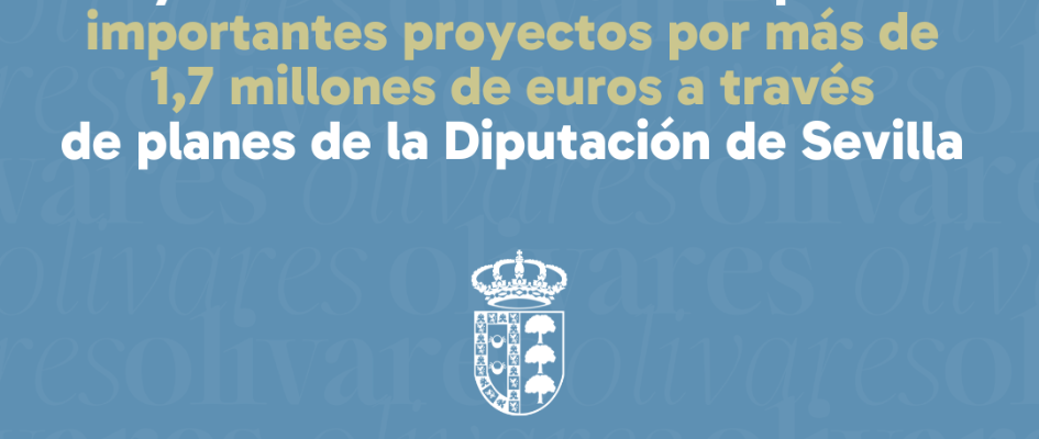 TARJETA WEB DIPUTACIÓN