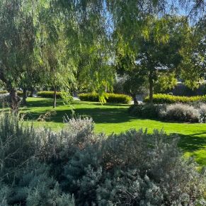 ZONA VERDE EL CAÑO 2