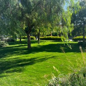 ZONA VERDE EL CAÑO 3