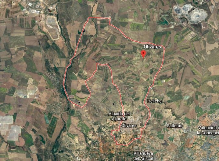 cierre perimetral olivares