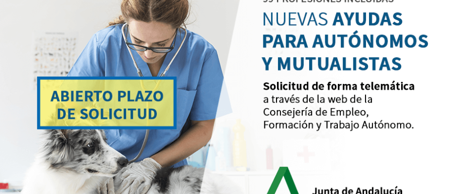 plazo-abierto-ayudas-autonomos_0
