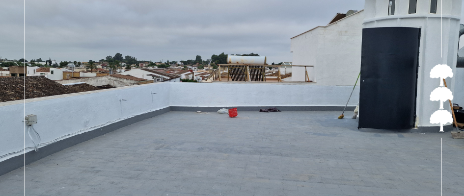 renovacion teatro olivares (1)