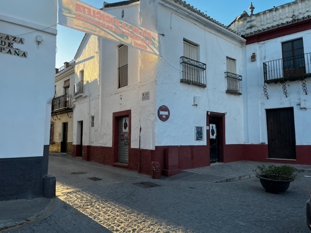 turismo-olivares